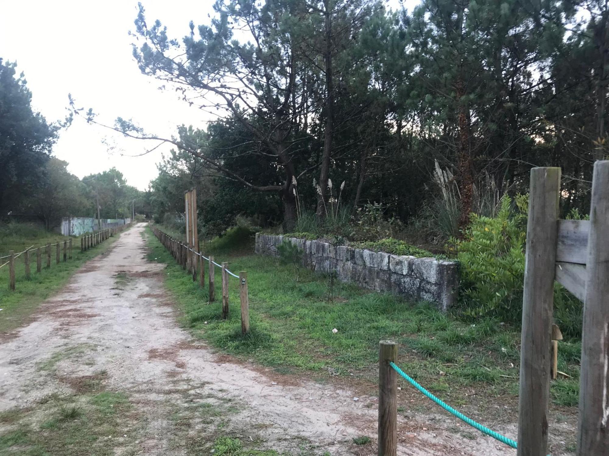 Arvore Cozy Com Jardim Esterno foto